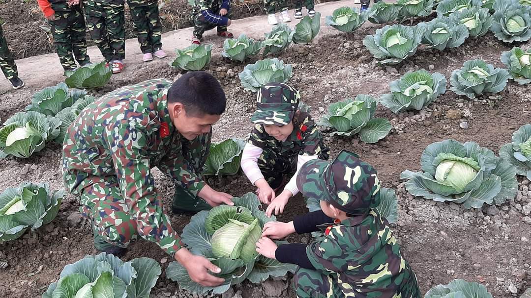 z2240332677320 eec3972fbfd5636b8fce68a8253b87b5