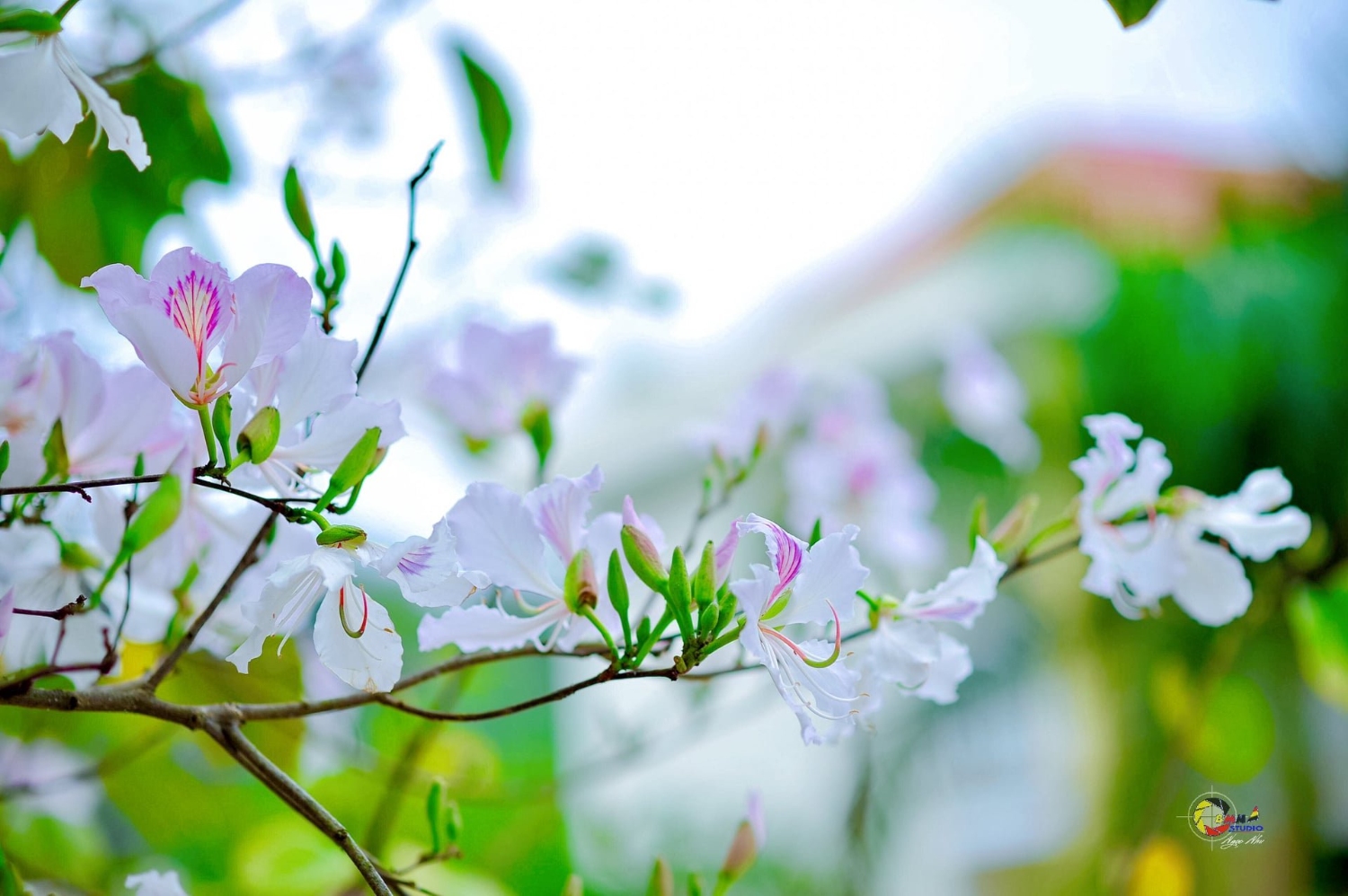 z3248689465706 2e5092581aca55572e272286b4f7115a