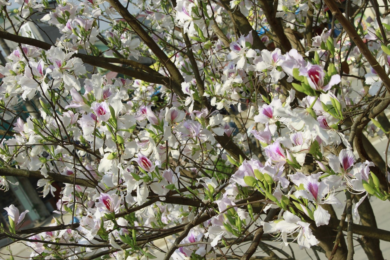 z3248689491525 e6a87c0ae2de3b5fa329e5beac119190